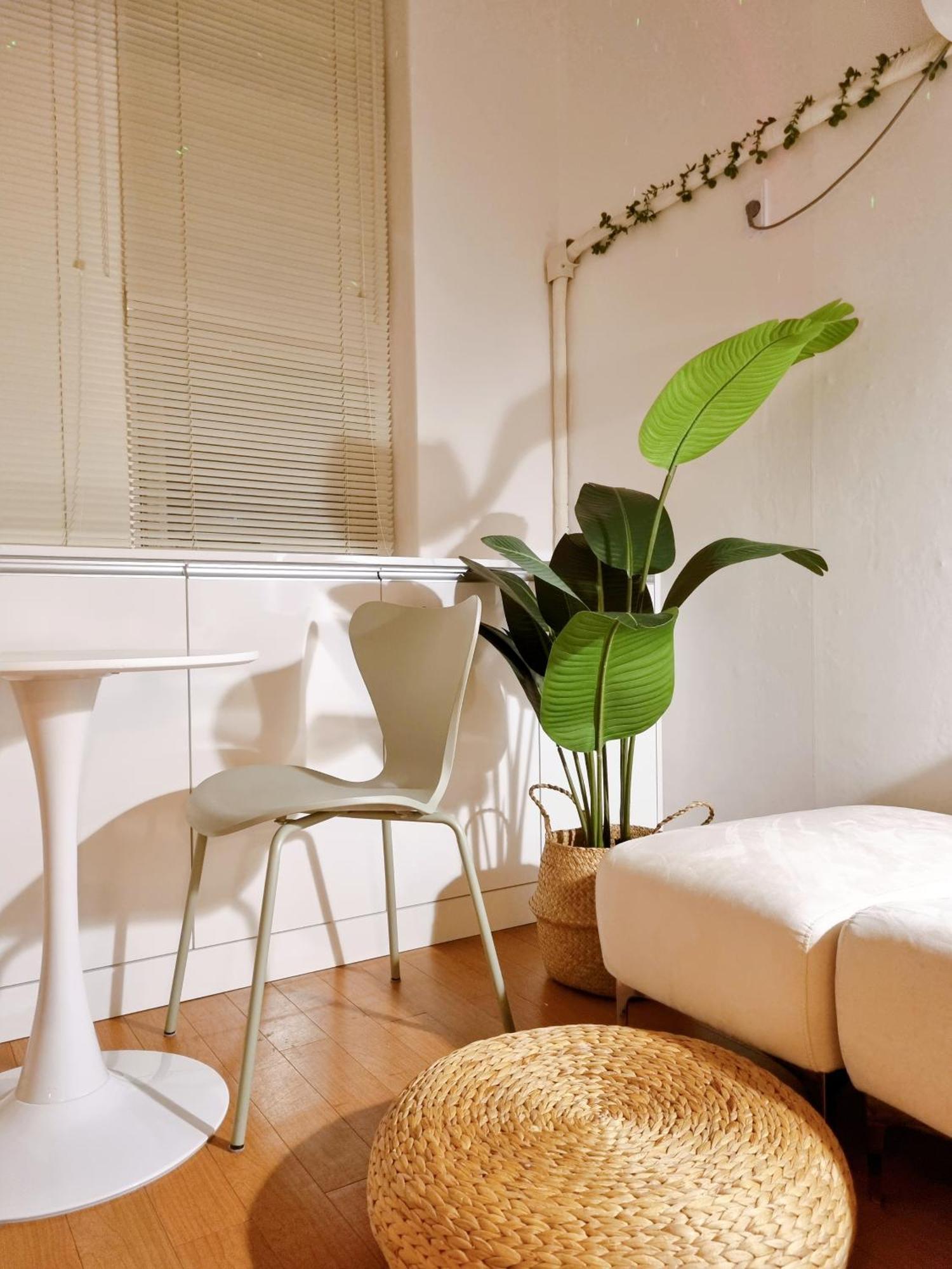 Yellow House - Duplex, Night View, White Modern Interior *